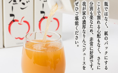 りんごジュース 1000ml×12本 無添加 酸化防止剤不使用 果汁100% 紙パック アグリファーム小林 お申込み順に発送予定 信州の環境にやさしい農産物認証 30500円 農家直送 長野県 飯綱町 [1697]