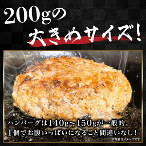 飛騨牛 生ハンバーグ（200g×6個）牛肉 100% 手ごね 特大 国産牛 冷凍 和牛 岐阜市/丸福商店 [ANBO030]