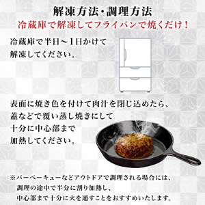 飛騨牛 生ハンバーグ（200g×6個）牛肉 100% 手ごね 特大 国産牛 冷凍 和牛 岐阜市/丸福商店 [ANBO030]