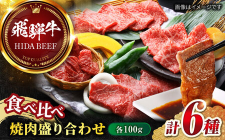 飛騨牛 焼肉盛り合わせ6種 各100g / 飛騨牛 飛騨牛 飛騨牛 飛騨牛 飛騨牛 飛騨牛 飛騨牛 岐阜市/丸福商店 [ANBO027]