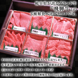 飛騨牛 焼肉盛り合わせ6種 各100g / 飛騨牛 飛騨牛 飛騨牛 飛騨牛 飛騨牛 飛騨牛 飛騨牛 岐阜市/丸福商店 [ANBO027]