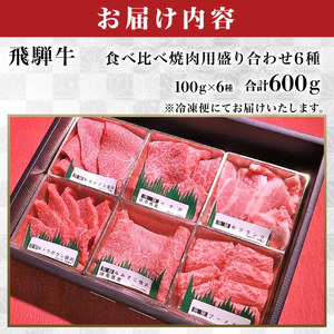 飛騨牛 焼肉盛り合わせ6種 各100g / 飛騨牛 飛騨牛 飛騨牛 飛騨牛 飛騨牛 飛騨牛 飛騨牛 岐阜市/丸福商店 [ANBO027]