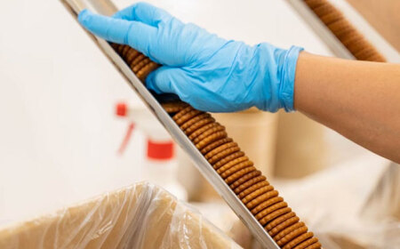 お菓子 ミレーフライ 500g×5袋入 [ANDT002] お菓子