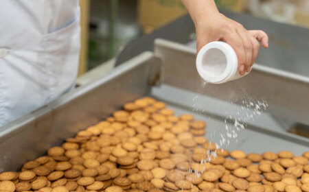 お菓子 ミレーフライ 500g×5袋入 [ANDT002] お菓子