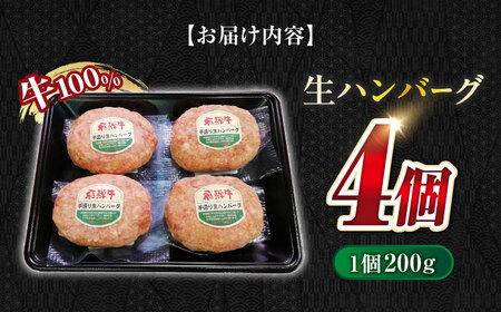 飛騨牛 生ハンバーグ（200g×4個） 牛肉 100% 手ごね 特大 国産牛 冷凍 和牛 岐阜市/丸福商店 [ANBO029]