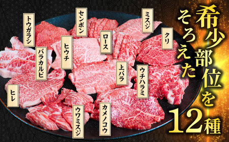 【飛騨牛】贅沢食べ比べ12種（各100g 計1200g）いろいろ焼肉 上バラ サーロイン 牛ヒレ 岐阜市/丸福商店 [ANBO028]