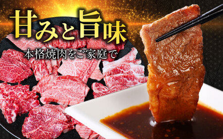 【飛騨牛】贅沢食べ比べ12種（各100g 計1200g）いろいろ焼肉 上バラ サーロイン 牛ヒレ 岐阜市/丸福商店 [ANBO028]