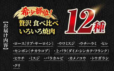【飛騨牛】贅沢食べ比べ12種（各100g 計1200g）いろいろ焼肉 上バラ サーロイン 牛ヒレ 岐阜市/丸福商店 [ANBO028]