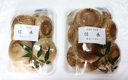 椎茸 シイタケ1kg [ANAS006] 椎茸