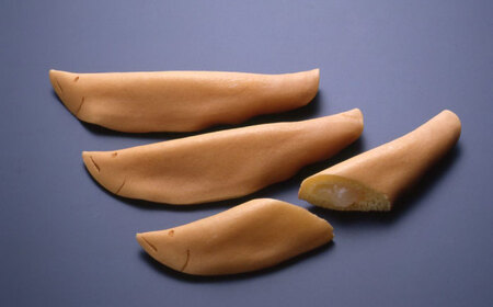 和菓子 登り鮎 10個 献上かすていら 2本 [ANAH004] 和菓子