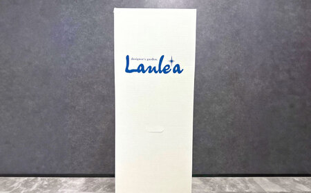 観葉植物 ココスヤシ 10号鉢 庭木 [ANBC001] 観葉植物