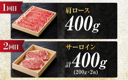 【5回定期便】飛騨牛 食べつくし 厳選セレクト定期便 サーロイン ロース モモ 切り落とし ステーキ すきやき しゃぶしゃぶ 国産 和牛 岐阜県 岐阜市/だるまミート[ANBE001]