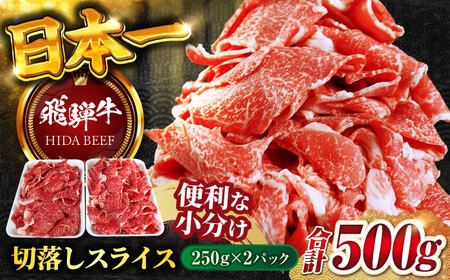 【飛騨牛】切落しスライス(250g×2) 和牛 焼肉 小分け 岐阜市/丸福商店[ANBO003]