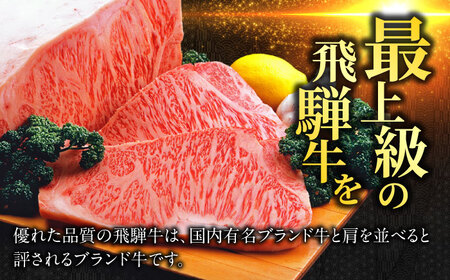 飛騨牛サーロインブロック800g 飛騨牛 サーロインブロック[ANBO010]