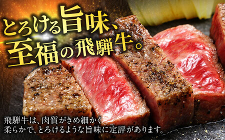 飛騨牛サーロイン・ヒレステーキ各2枚 計4枚 飛騨牛 サーロインステーキ ヒレステーキ[ANBO022]