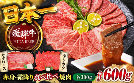 【飛騨牛】赤身(モモ・カタ)・霜降り(バラ)焼肉(各300g)計600g BBQ 赤身 ロース 岐阜市/丸福商店[ANBO023]