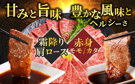 【飛騨牛】赤身(モモ・カタ)・霜降り(バラ)焼肉(各300g)計600g BBQ 赤身 ロース 岐阜市/丸福商店[ANBO023]