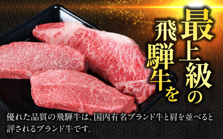 【飛騨牛】食べ比べお勧めステーキ　サーロイン・ランプ・ミスジ・カイノミ・トモサンカク等の中から３枚(計600g) 和牛 焼肉  おすすめ 岐阜市/丸福商店[ANBO025]