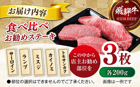 【飛騨牛】食べ比べお勧めステーキ　サーロイン・ランプ・ミスジ・カイノミ・トモサンカク等の中から３枚(計600g) 和牛 焼肉  おすすめ 岐阜市/丸福商店[ANBO025]