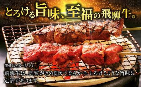 飛騨牛牛串8本 飛騨牛 牛串[ANBO032]