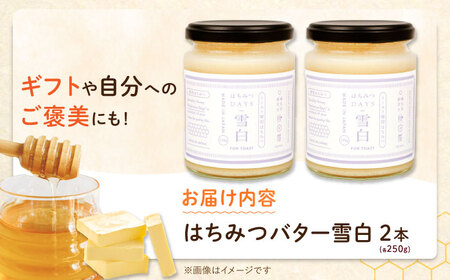 はちみつ はちみつバター雪白250g×2本セット[ANBT001] はちみつ
