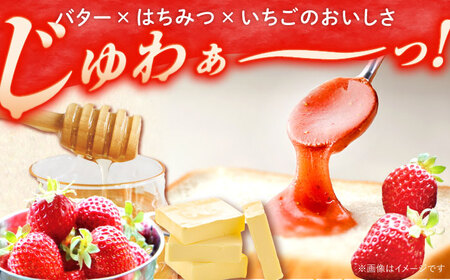 はちみつ 北欧はちみつといちごバター250g×2本セット[ANBT002] はちみつ