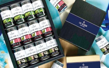 クラフトジン 【3回定期便】LONG GOOD クラフト・ジントニック3種セット 各種2本 計6本[ANCG002] クラフトジン