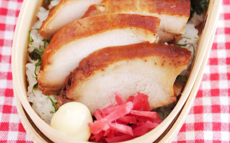 鶏肉 朝挽き 清流美どり お弁当セット 5種 11点 [ANDL003] 鶏肉