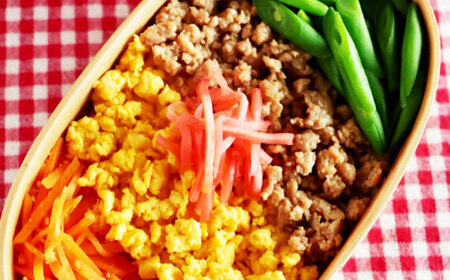 鶏肉 朝挽き 清流美どり お弁当セット 5種 11点 [ANDL003] 鶏肉