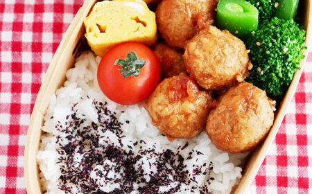 鶏肉 朝挽き 清流美どり お弁当セット 5種 11点 [ANDL003] 鶏肉