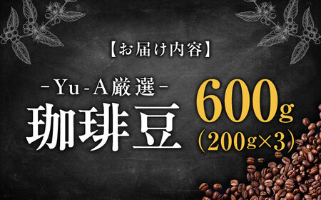 コーヒー 珈琲豆 600g（200g×3） [ANDR001] コーヒー