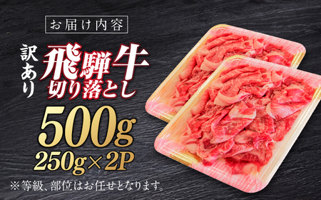 飛騨牛切り落とし500g 飛騨牛 切り落とし[ANBE013]