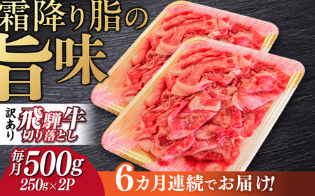 【6回定期便】 飛騨牛 切り落とし 250g×2パック 計500g 等級 部位お任せ すき焼き 鍋 スライス 牛肉 岐阜市 / だるまミート[ANBE015]