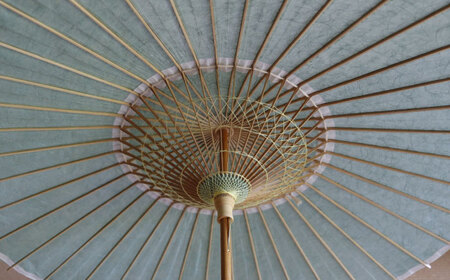 日傘 日傘 雲竜柄和紙 あさぎ色 [ANBX010] 日傘