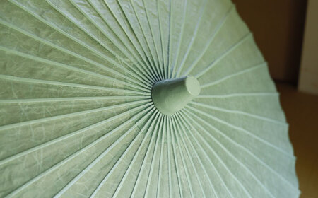 日傘 日傘 雲竜柄和紙 あさぎ色 [ANBX010] 日傘