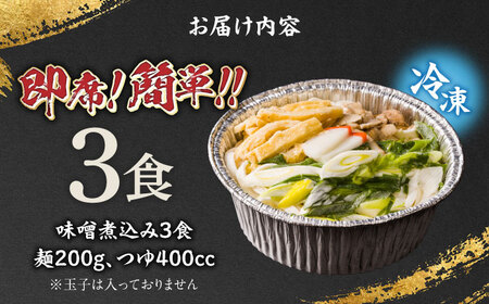 うどん 田毎の味噌煮込みうどんセット [ANFP002] うどん