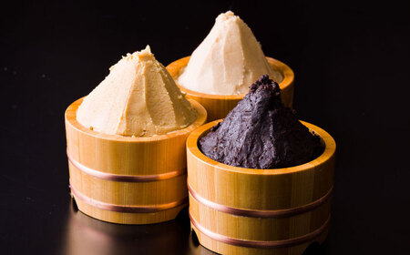 岐阜の味 田毎の味噌煮込みうどんセット 即席 カンタン 麺 岐阜市