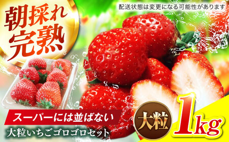 岐阜県(岐阜市)】いちご 【3回定期便】 いちご 2品種 食べ比べ セット