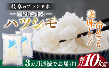 【3回定期便】【R7年産】 白米ハツシモ 10kg 白米 10kg 白米定期便[ANCU008]