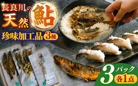 鮎 おかえり鮎　珍味加工品3点セット [ANDL010] 鮎