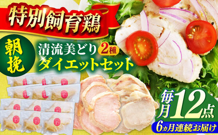 鶏肉 【6回定期便】 清流美どり ダイエットセット 2種 12点 [ANDL019] 鶏肉