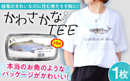 Tシャツ かわさかなTEE Tシャツ [ANGD001] Tシャツ