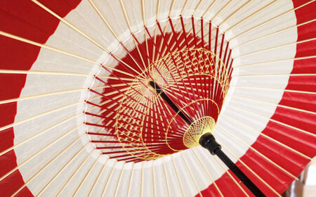和傘 蛇の目傘 二つ切（赤） [ANBX007] 和傘