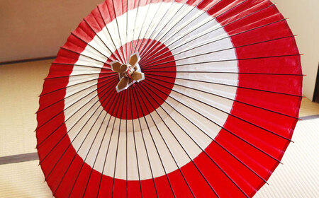和傘 蛇の目傘 二つ切（赤） [ANBX007] 和傘