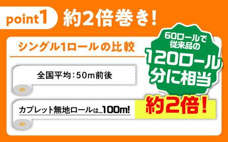 【3回定期便  4カ月に1回】トイレットペーパー  60ロール【シングル】 北海道・沖縄県・離島への配送不可  日用品 生活用品 エコ 岐阜市 / 河村製紙 [ANBJ009]