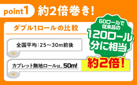 【2回定期便  6カ月に1回】トイレットペーパー  60ロール【ダブル】 北海道・沖縄県・離島への配送不可  日用品 生活用品 エコ 岐阜市 / 河村製紙 [ANBJ010]
