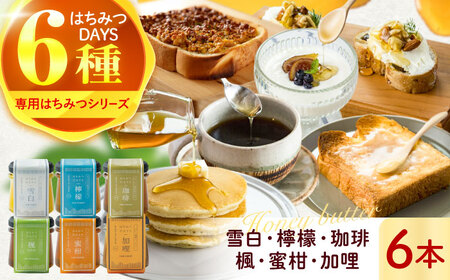 はちみつ はちみつDAYS 6種類セット [ANBT007] はちみつ