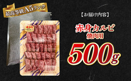 牛肉 A5等級 飛騨牛 赤身カルビ 焼肉用 500g [ANGY007] 牛肉