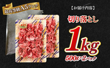 牛肉 A5等級 飛騨牛 切り落とし 1kg(500g×2パック) [ANGY015] 牛肉