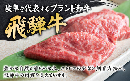 牛肉 飛騨牛ひつまぶしセット 2人前 [ANGU001] 牛肉